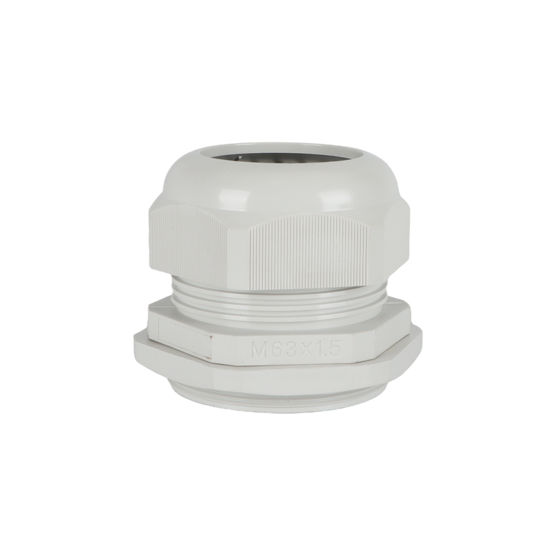 加長(zhǎng)M63x1.5L